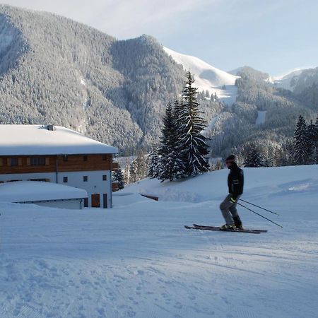 Blsv Sportcamp Direkt Am Kurvenlift Hostel Шлирзее Екстериор снимка