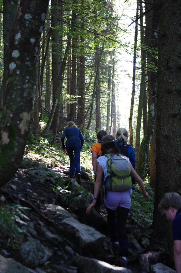 Blsv Sportcamp Direkt Am Kurvenlift Hostel Шлирзее Екстериор снимка